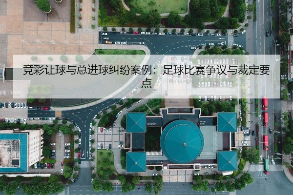 竞彩让球与总进球纠纷案例：足球比赛争议与裁定要点